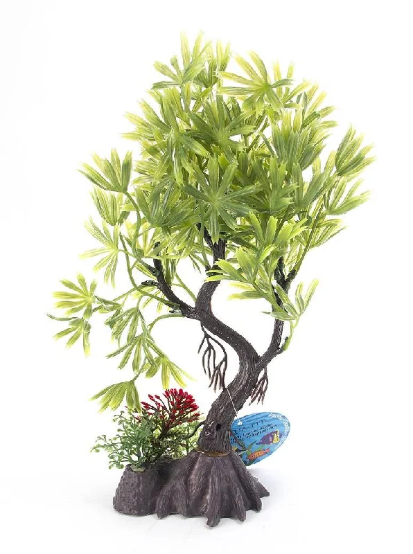 Aqua-Fit Japanese Maple Bonsai