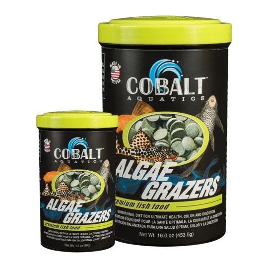 Cobalt Algae Grazers