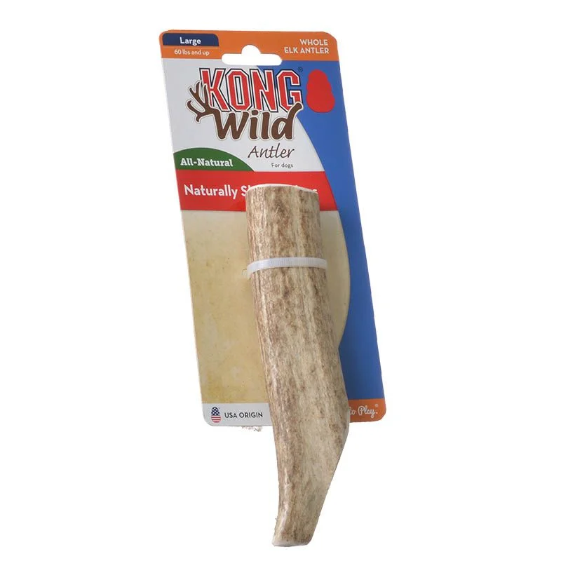 KONG Wild Whole Elk Antler Dog Chew