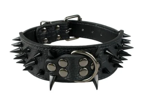 Dragon Tooth Enamel Spiked Collar