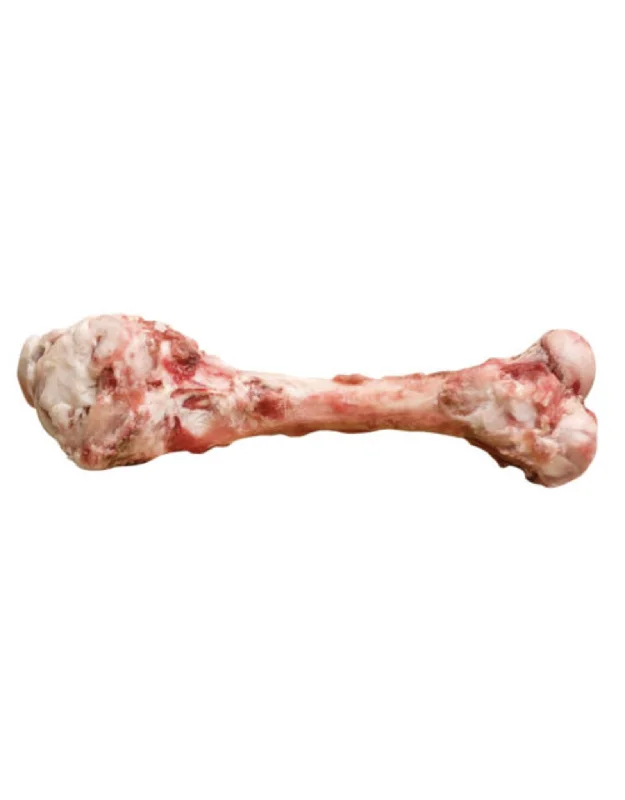 Artisan - Lamb Bone - Lamb Femur