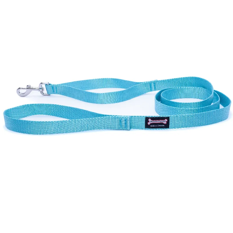 Standard Nylon Dog Leash - Turquoise