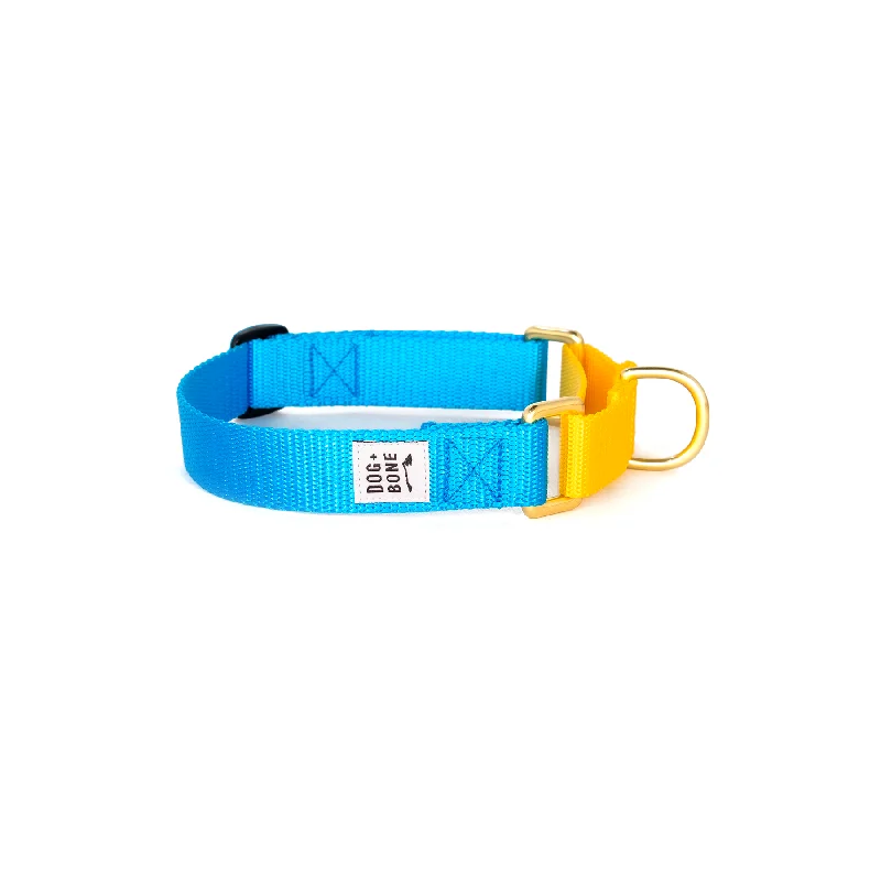 Martingale Collar - Blue + Yellow