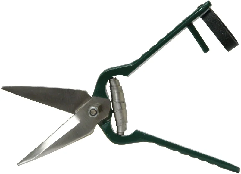 Serrated Foot Rot Shears