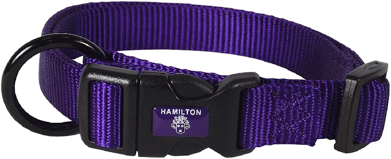 Hamilton - Collar 1" - Purple