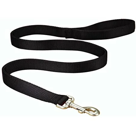 Hamilton - Nylon Leash 1" - Black