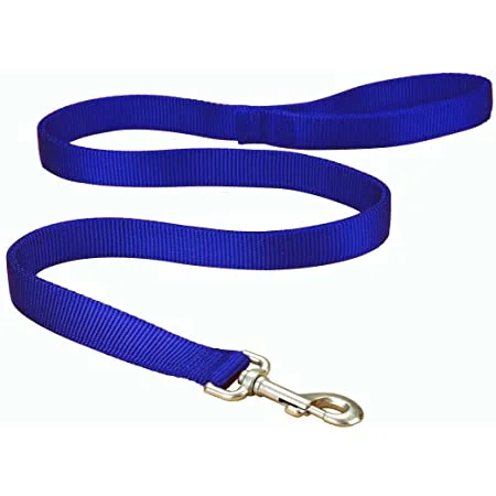 Hamilton - Nylon Leash 1" - Blue