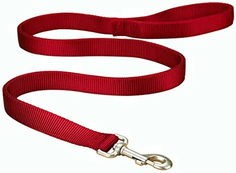 Hamilton - Nylon Leash 1" - Red