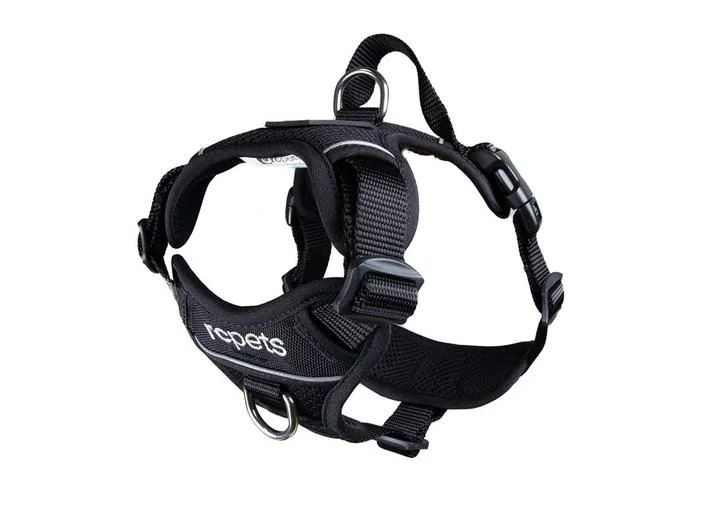 RC Momentum Harness Black