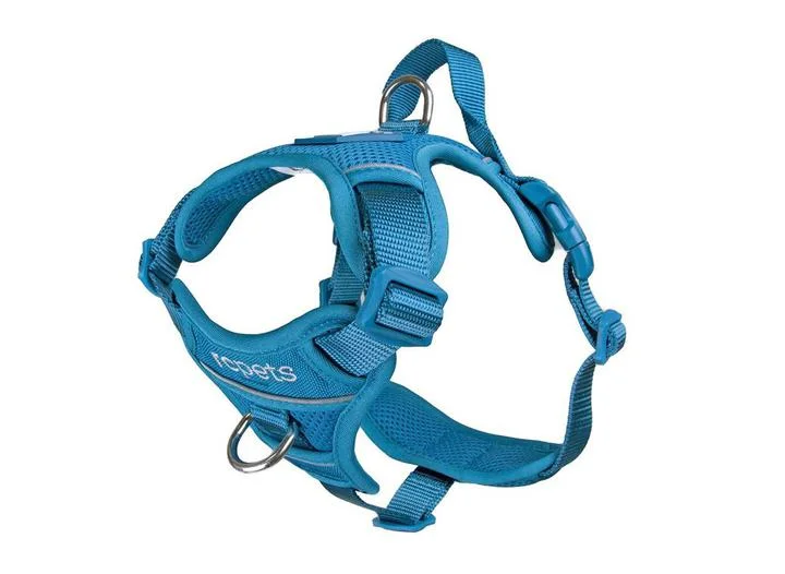 RC Momentum Harness Teal