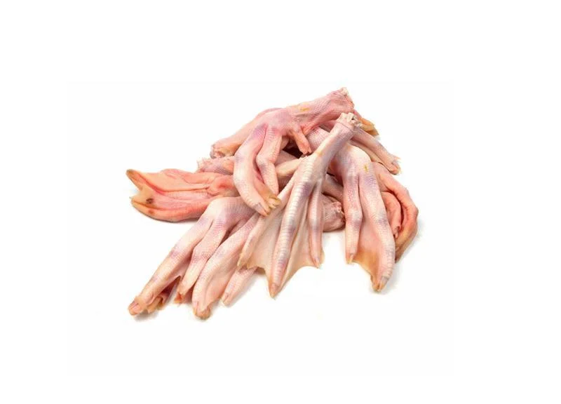 Noah's Ark Duck Feet Raw 1lb