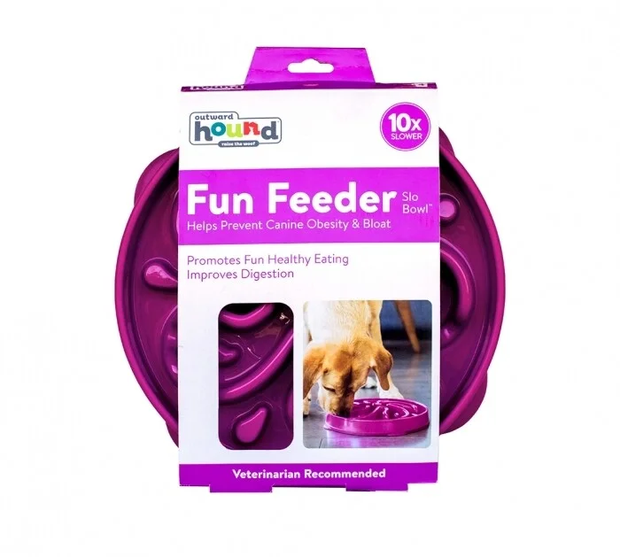 Outward Hound - Slow Feed Fun Bowl - Purple