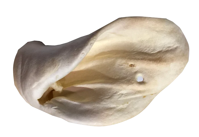 Puffed Cow Ear